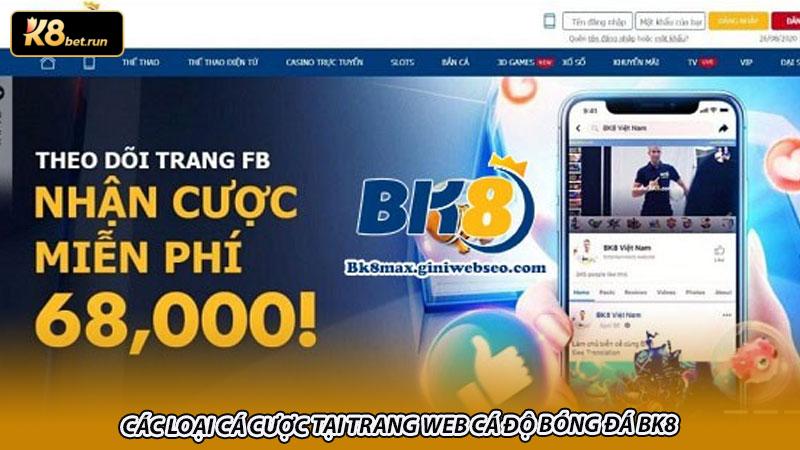 Các loại cá cược tại trang web cá độ bóng đá BK8